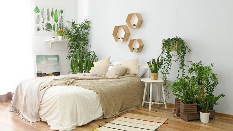 Số lượng và kích thước
