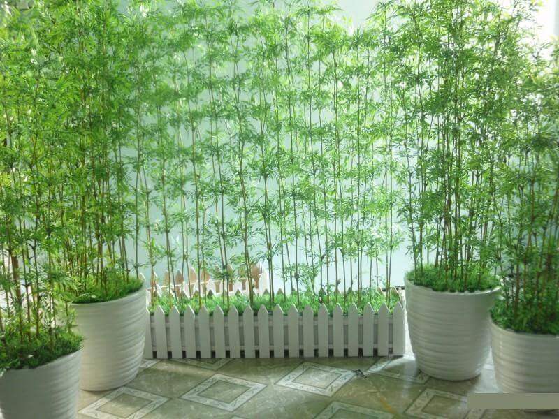Tăng cường sinh khí thu hút vượng khí