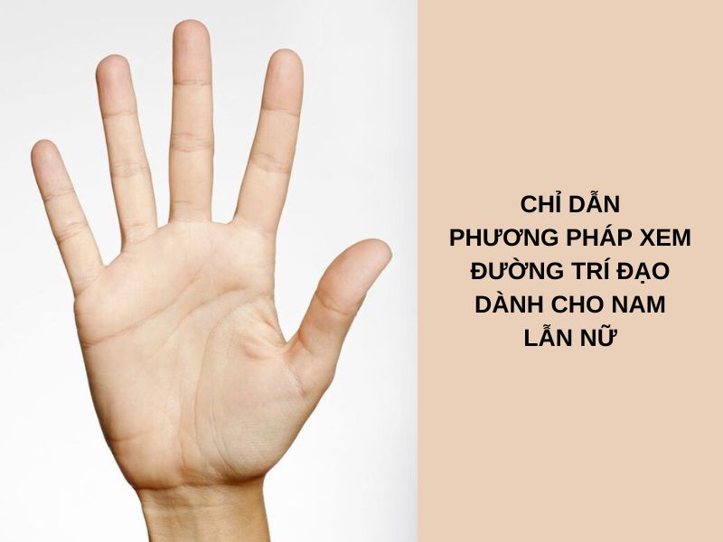 Chỉ dẫn phương pháp xem đường trí đạo dành cho nam lẫn nữ