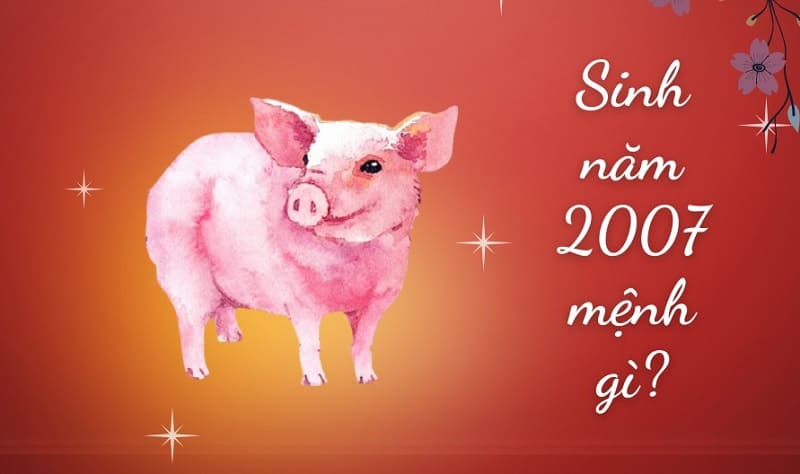 Tuổi Đinh Hợi 2007 Sinh Tháng Nào Tốt? Tìm Hiểu Những Tháng Sinh Mang Tài Lộc