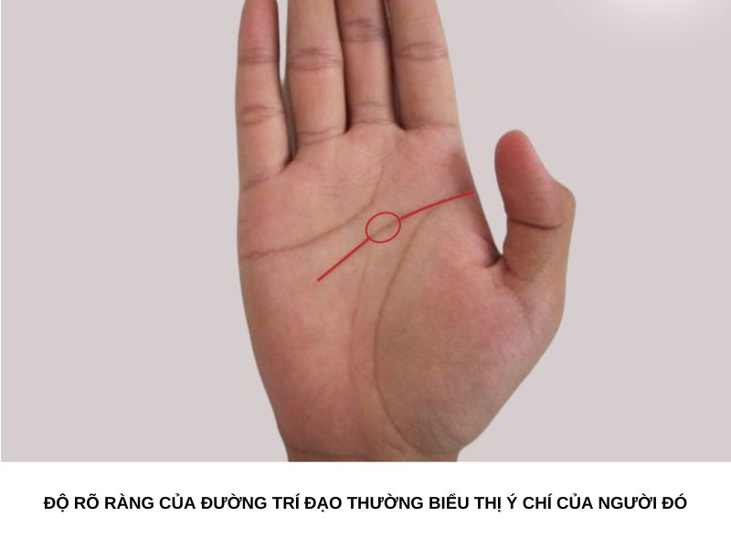 Độ rõ ràng của đường trí đạo thường biểu thị ý chí của người đó