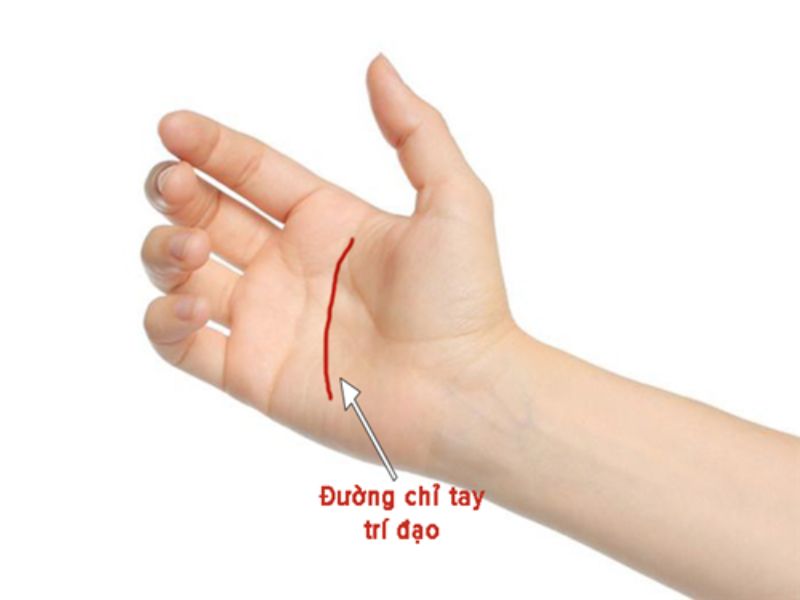 Đường trí đạo là đường thứ hai quan trọng trong việc xem chỉ tay