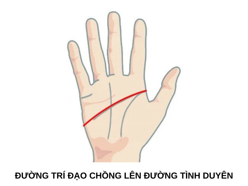 Đường trí đạo chồng lên đường tình duyên