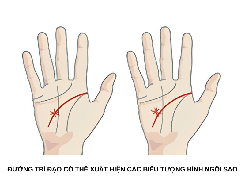 Đường trí đạo có thể xuất hiện các biểu tượng hình ngôi sao