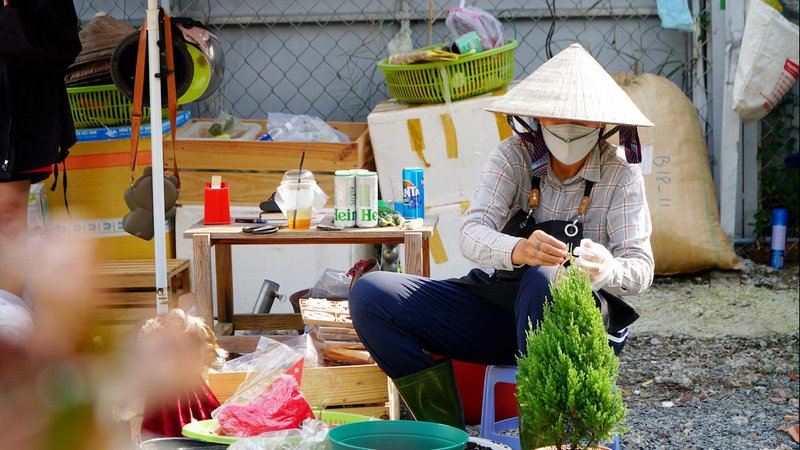 Học hỏi kỹ thuật trồng và lưu ý chăm sóc đúng cách