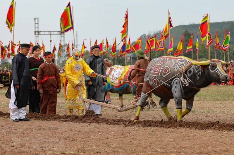 Trồng cây - khai cày