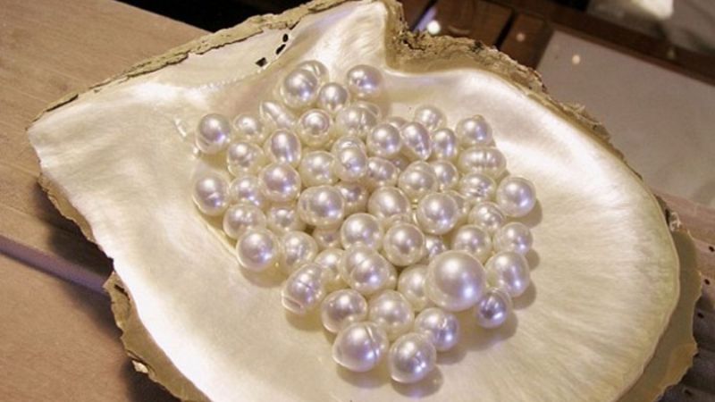 Màu sắc của ngọc trai nước mặn vượt trội hơn trai nước ngọt