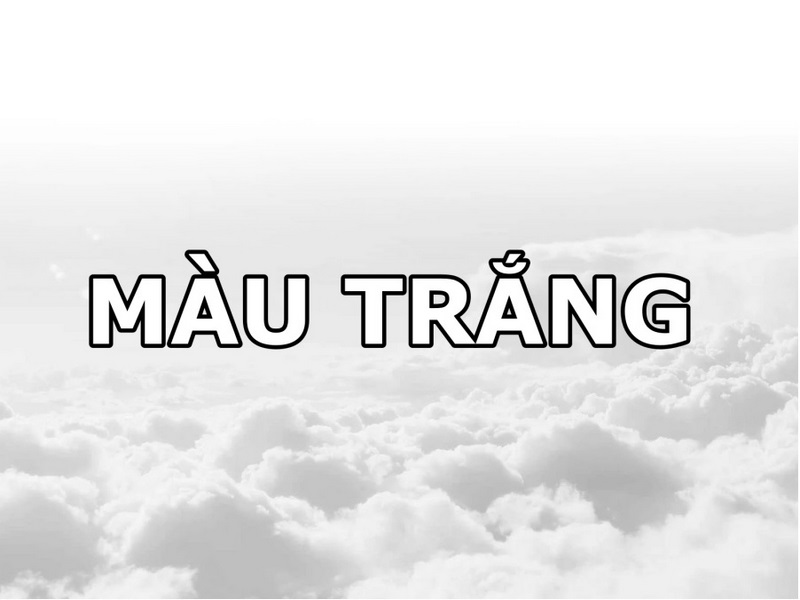 Những điều bạn chưa biết về màu trắng