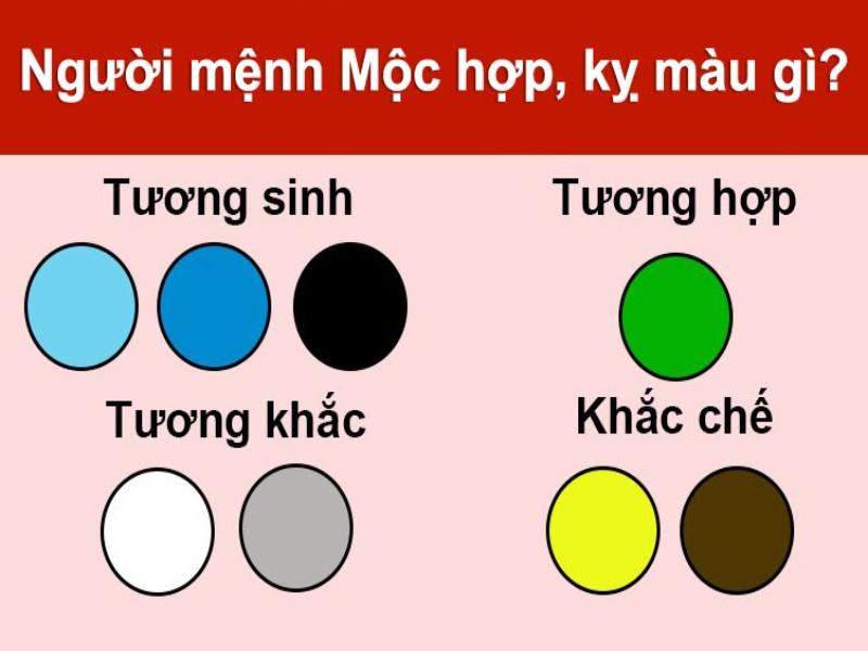 Các màu sắc hợp và không hợp của người mệnh Mộc