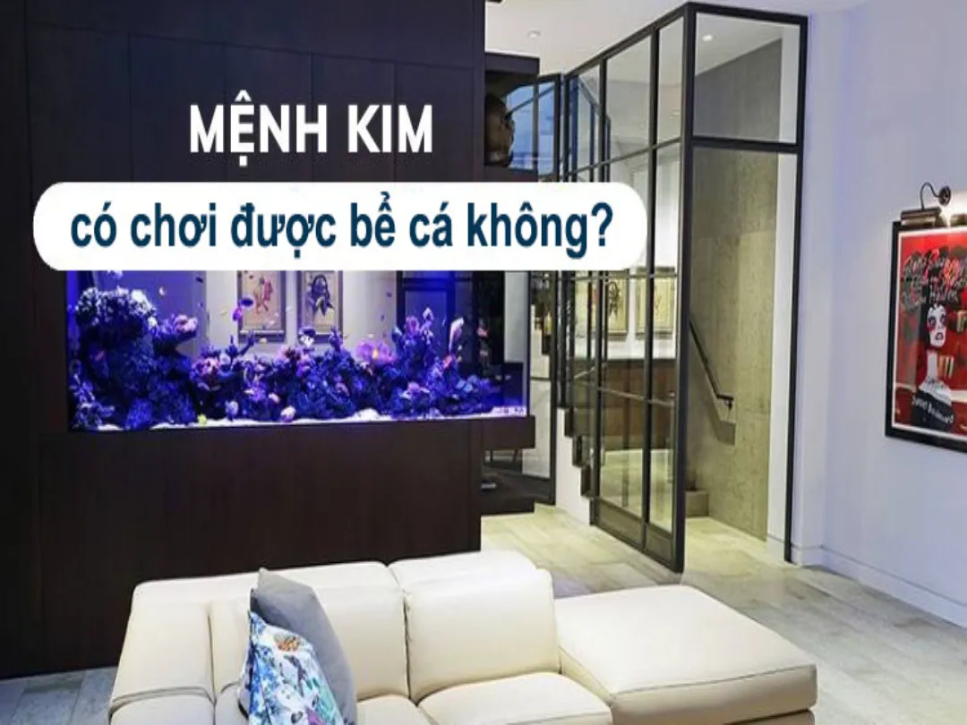 Người mệnh Kim hoàn toàn có thể nuôi cá