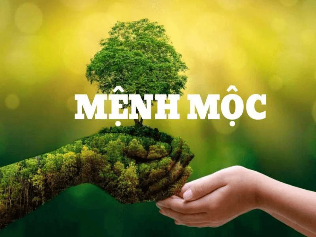 Mệnh Mộc và Mệnh Mộc