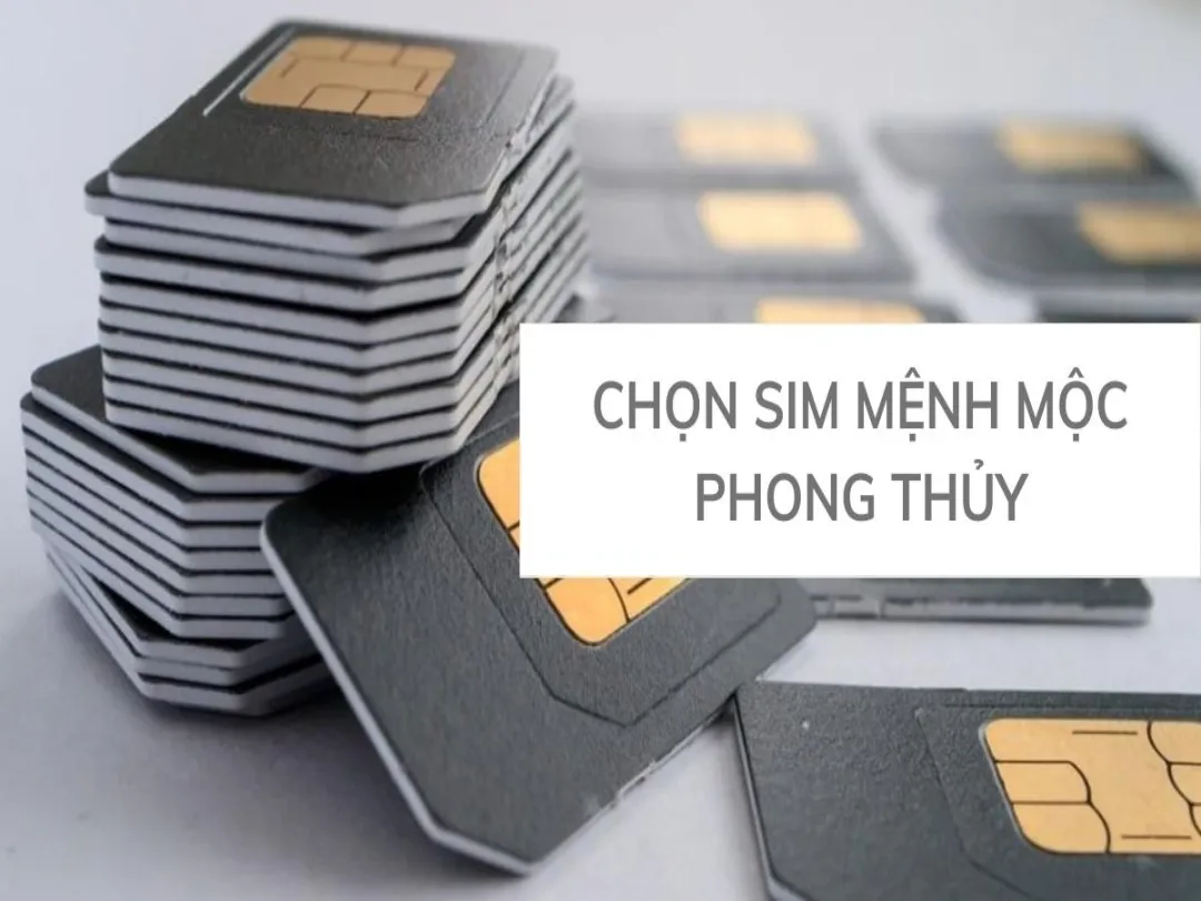 Sim cho người mệnh Mộc thường chứa nhiều số 1, 3, 4, 6