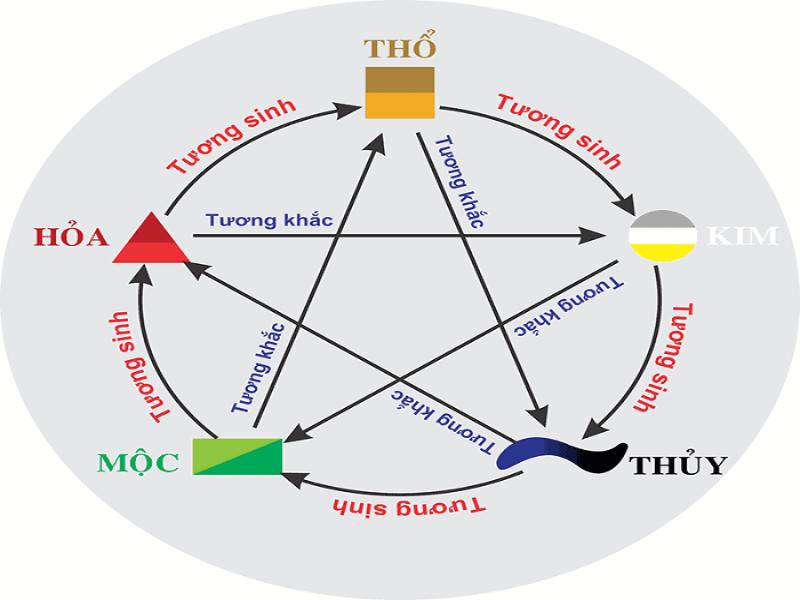 Mệnh mộc là một trong 5 thuyết Ngũ Hành