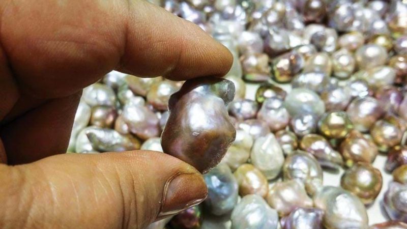 Ngọc trai tự nhiên quý hiếm với màu sắc và hình dạng độc đáo