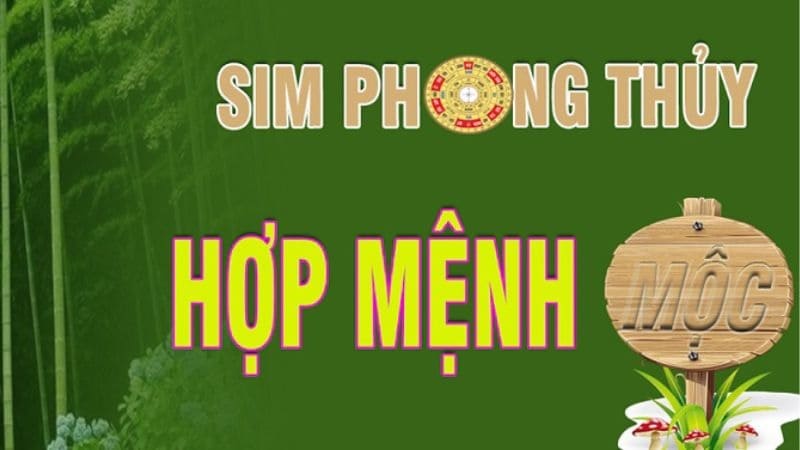 Sim số hợp mệnh Mộc giúp tạo ra môi trường năng lượng tích cực