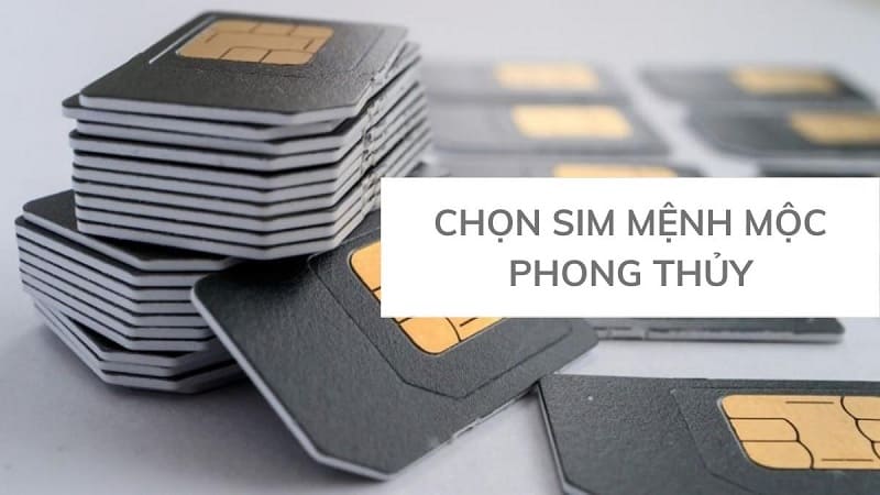 Để chọn sim số hợp mệnh Mộc nên xem xét quẻ dịch của các con số