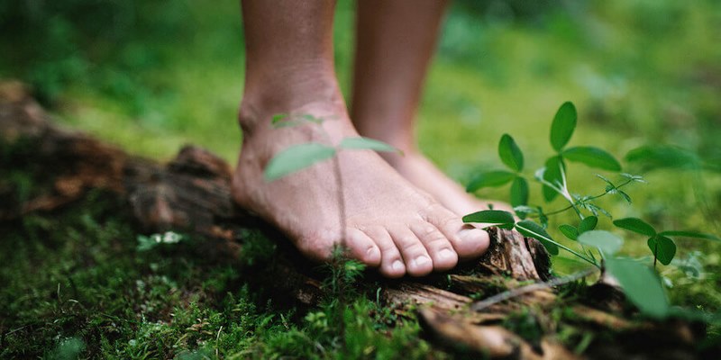 Sự thay đổi quan điểm màu nâu trong lịch sử