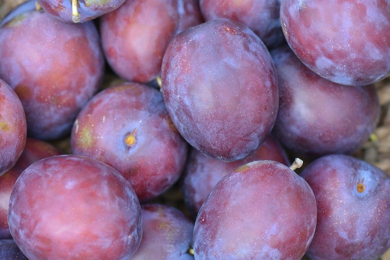 Trái cây có màu sậm - đại diện Hành Thổ (Bắc Phương)