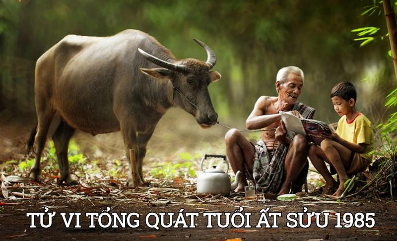 Tử vi tuổi Ất Sửu mang nhiều thông điệp trong năm 2024