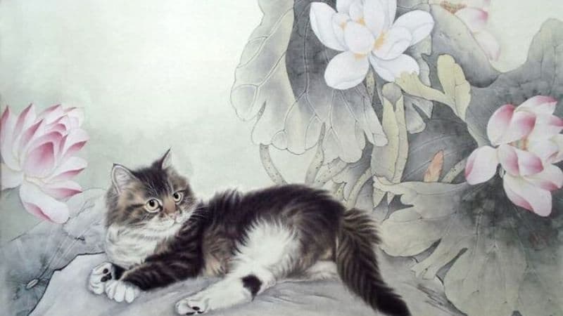 Người tuổi Mèo sinh năm 1939, 1951, 1963, 1975, 1987, 1999, 2011 và 2023