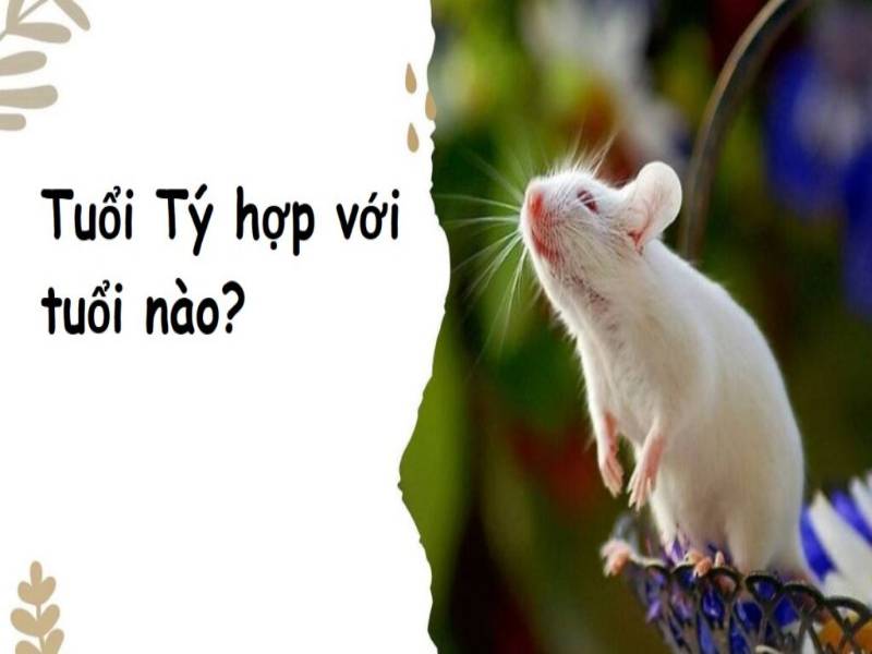 Xem tuổi hợp làm ăn theo 12 con giáp chi tiết