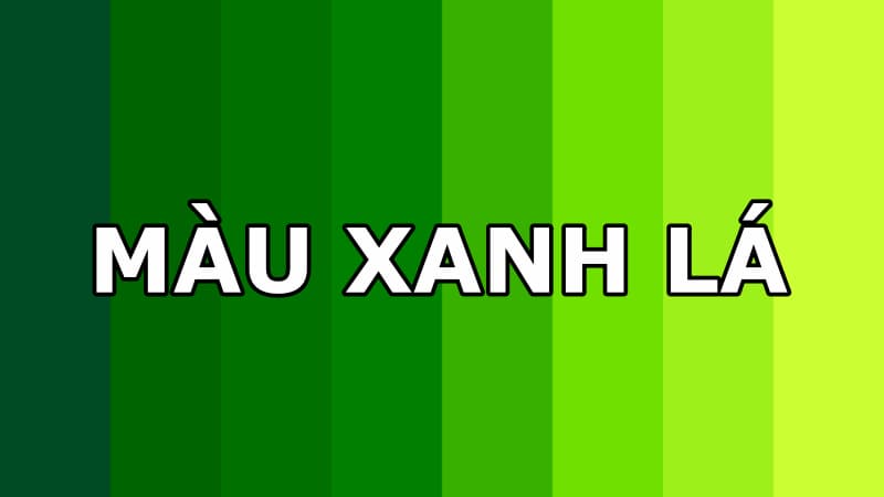 Cách chọn màu xanh lá cây trong thiết kế đồ họa