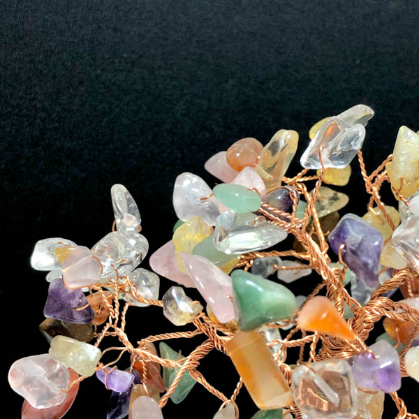 Cây tài lộc 12*10*15