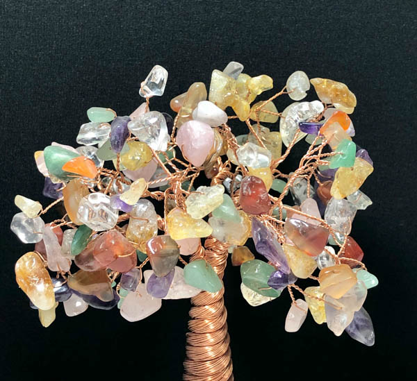 Cây tài lộc 12*10*15