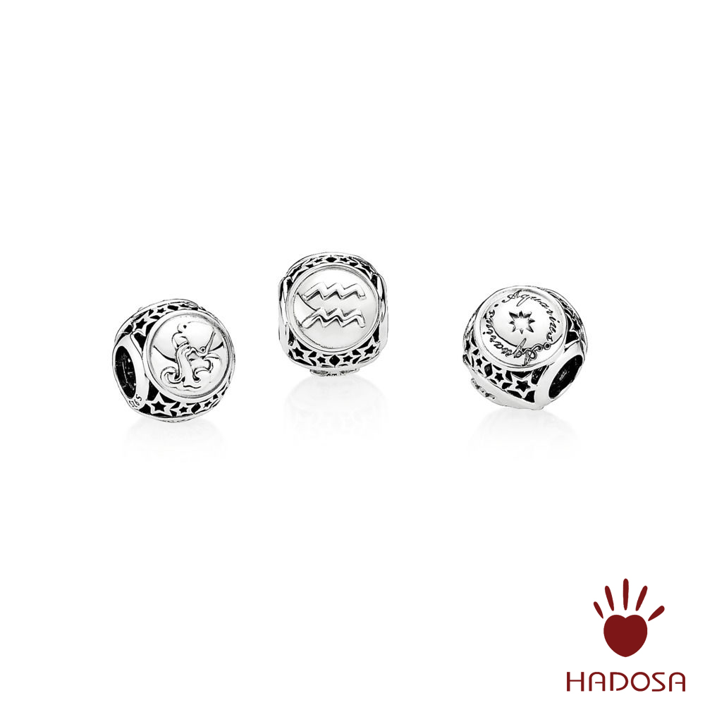 Charm cung  Bảo Bình D (Aquarius)