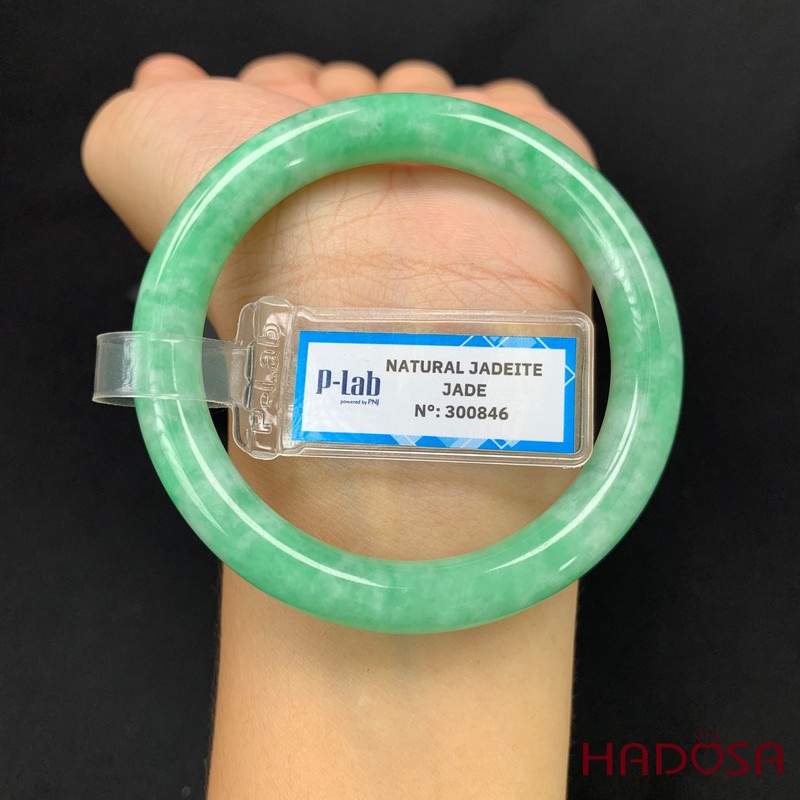 Vòng Ngọc Cẩm Thạch bản tròn xanh lý vân bông ni 51