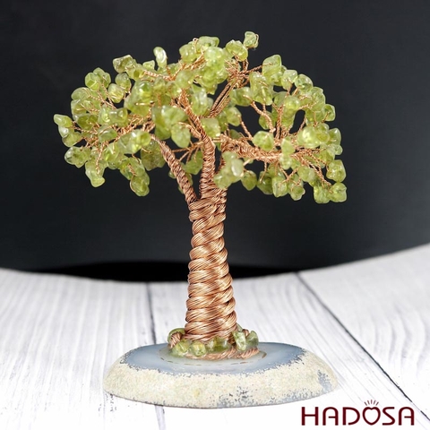 Cây tài lộc đá Peridot 12*10*15cm