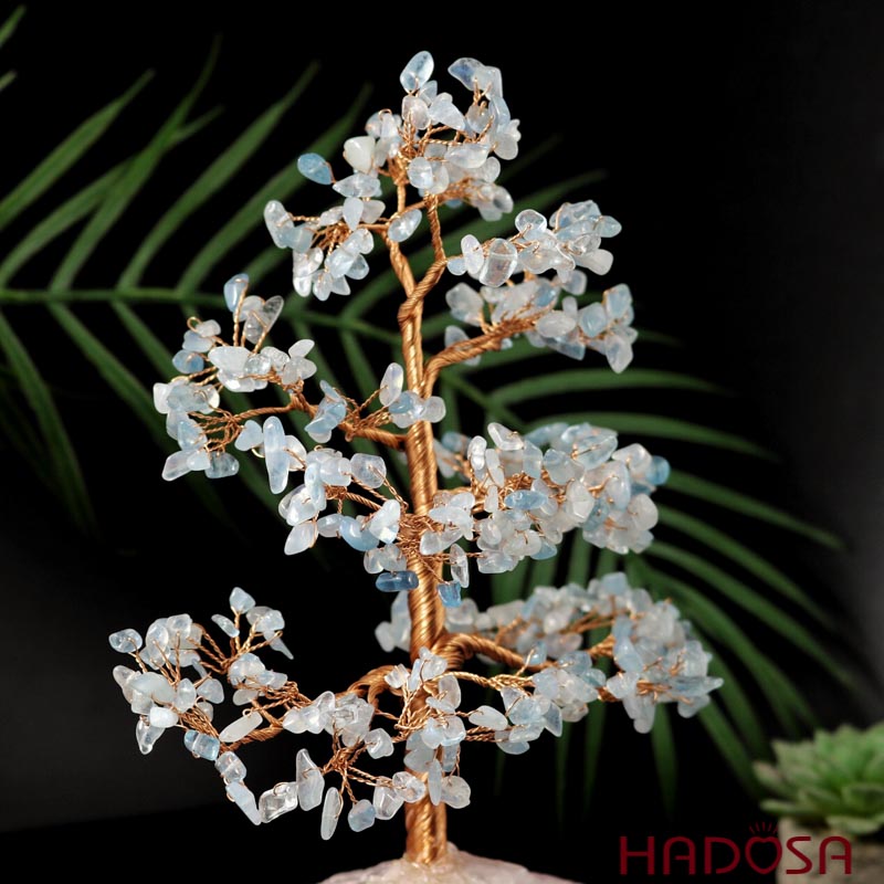 Cây tài lộc Aquamarine 12*7*22cm