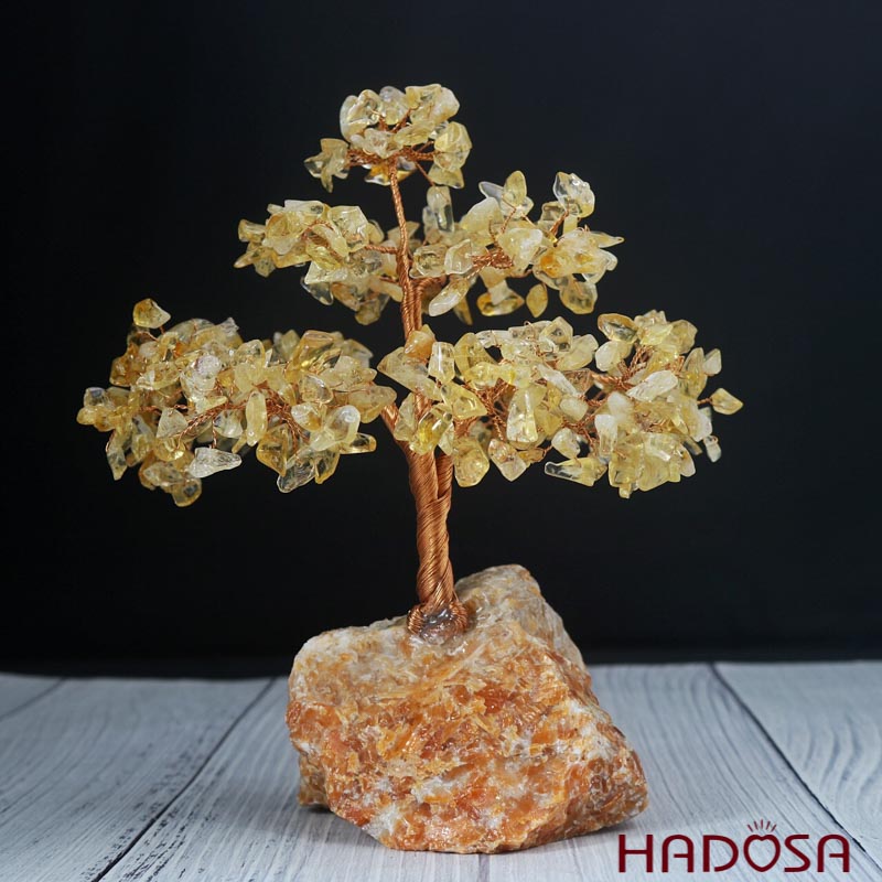 Cây tài lộc Thạch anh vàng 18x12x20cm