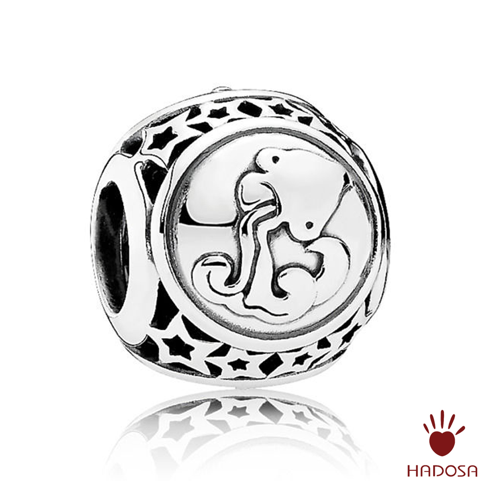 Charm cung  Bảo Bình D (Aquarius)