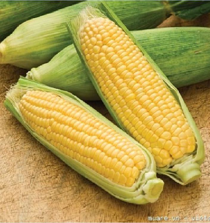 Hạt giông Ngô Siêu Ngọt Vàng