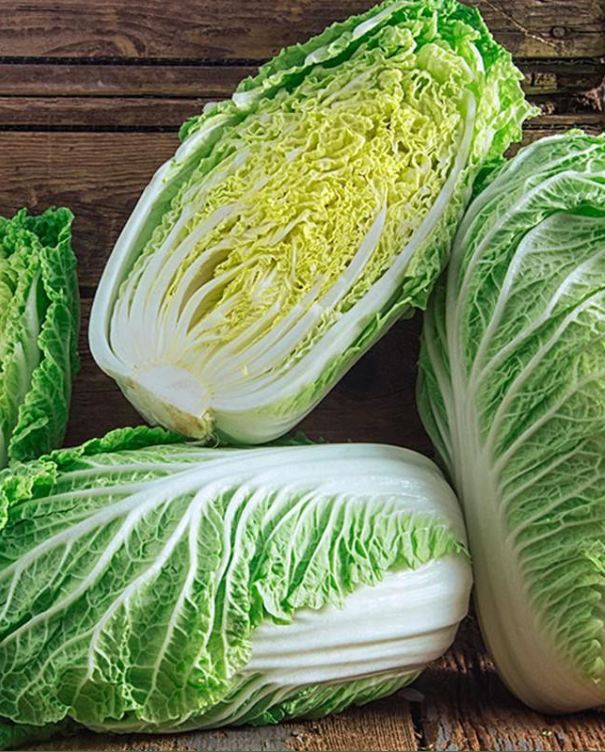 Hạt Giống Rau Cải Thảo F1