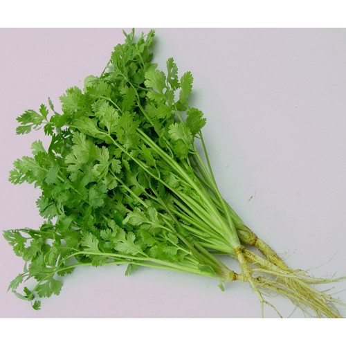 Hạt Giống Rau Mùi Cồn Tía ( Mùi Ta ) - Gói 20gram
