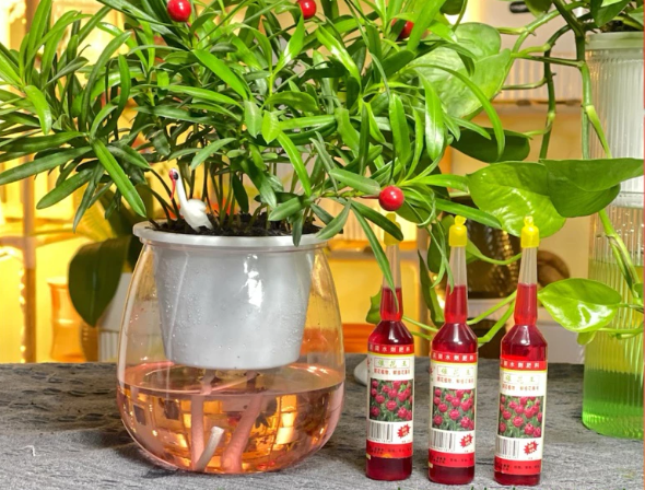 Dung dịch kích thích ra hoa, dưỡng hoa lâu tàn nội địa Trung chai 38ml ( Loại Chai Đỏ - 1 Chai )