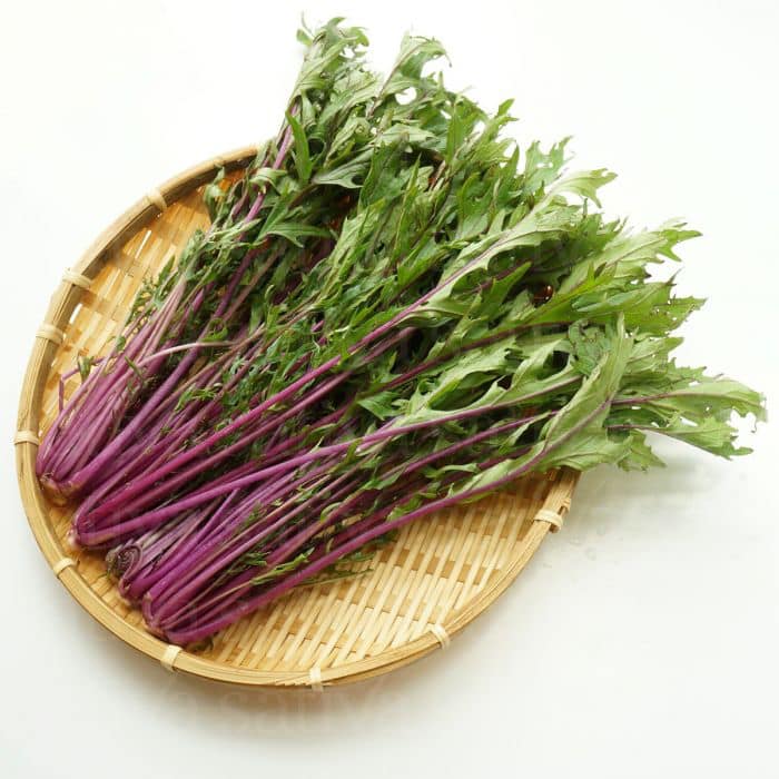 Hạt giống rau cải đuôi phụng đỏ - Gói 20gram