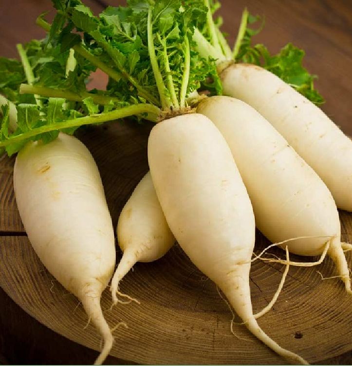 Hạt Giống Củ Cải Trắng Bạch Tuyết F1