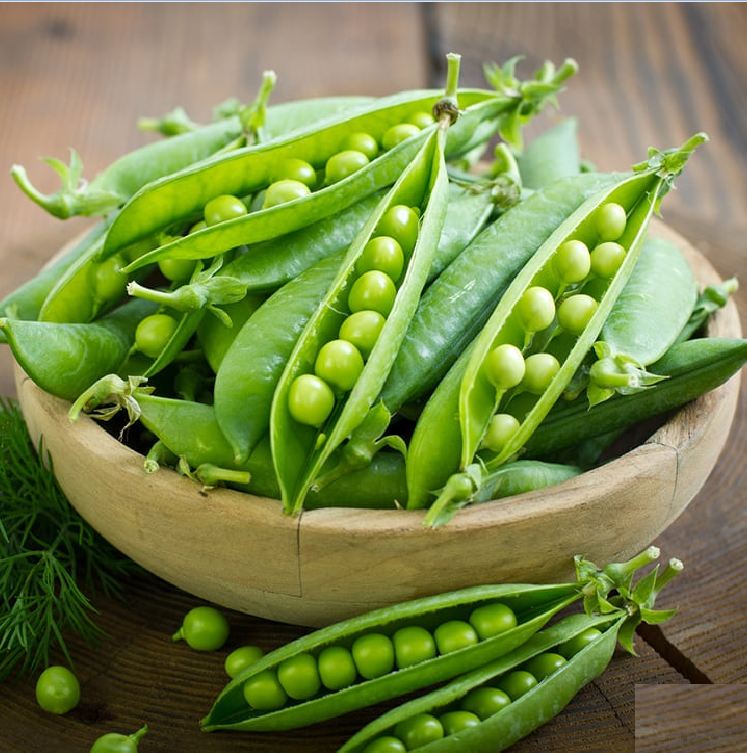 Hạt Giống Đậu Hà Lan Lấy Hạt