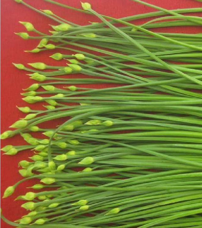 Hạt Giống Hẹ Ăn Bông - Gói 2gram