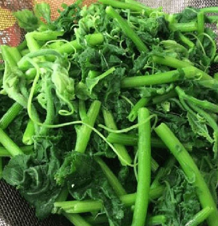 Hạt Giống Bí Siêu Ngọn Cao Sản