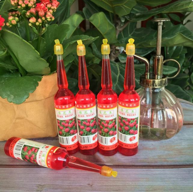 Dung dịch kích thích ra hoa, dưỡng hoa lâu tàn nội địa Trung chai 38ml ( Loại Chai Đỏ - 1 Chai )