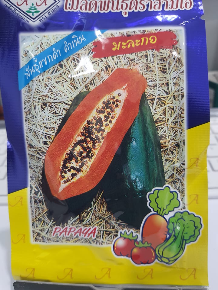 Hạt Giống Đu Đủ Siêu Dài Phuket Thái - Gói 5 gram ( 110 -120 hạt )