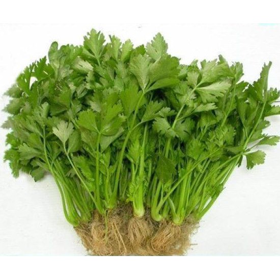 Hạt Giống Cần Tây Chịu Nhiệt F1 - Gói 2gram