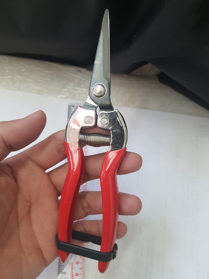 Kéo tỉa lá, chi răm Đài Loan P908 Cán Đỏ 24cm sắc bén LV243