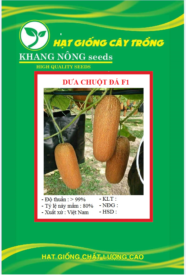 Hạt giống dưa chuột đá F1