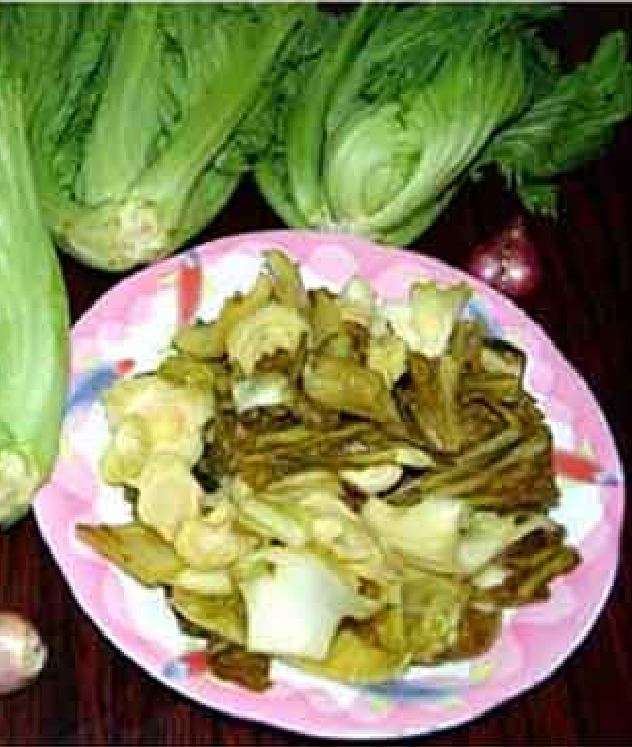 Hạt Giống Cải Bẹ Dưa Cao Sản