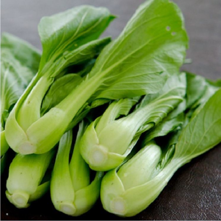 Hạt giống rau cải chíp cao sản